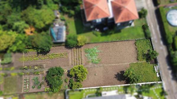 Grundstück - Grundstück in 64673 Zwingenberg mit 570m² kaufen