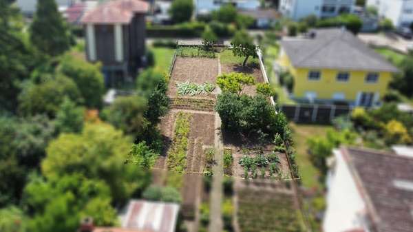 Grundstück - Grundstück in 64673 Zwingenberg mit 570m² kaufen
