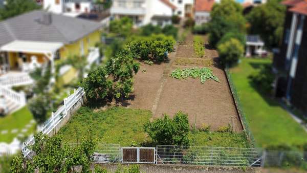 Grundstück - Grundstück in 64673 Zwingenberg mit 570m² kaufen