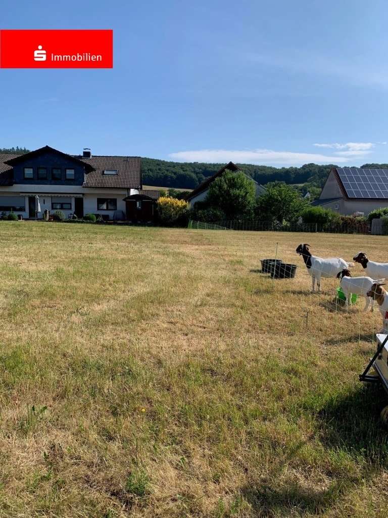 Flurstück 105 - Grundstück in 34633 Ottrau mit 731m² kaufen