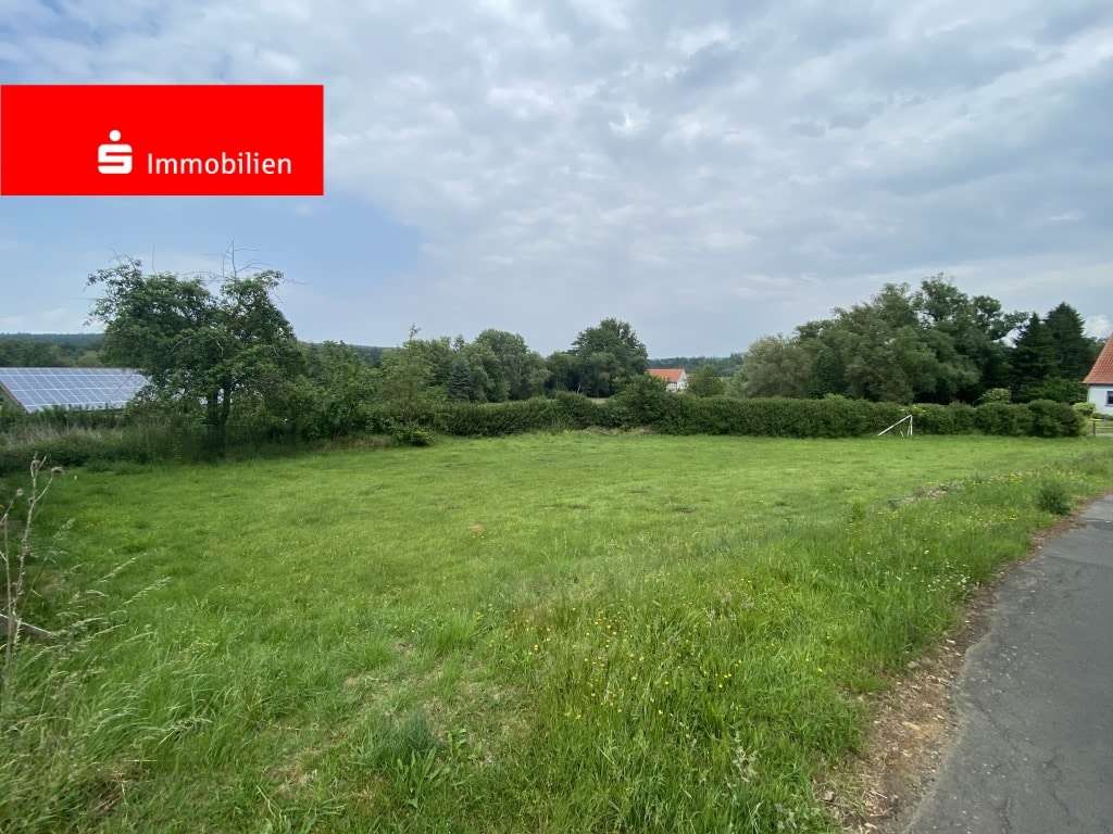 Blick auf das Grundstück - Grundstück in 34613 Schwalmstadt mit 965m² kaufen