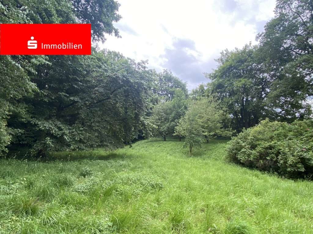 Blick in das Grundstück - Grundstück in 34621 Frielendorf mit 5999m² kaufen