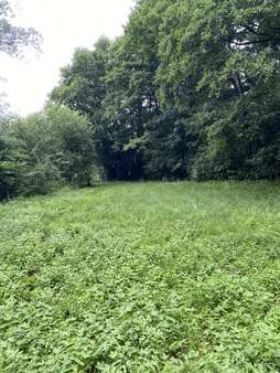 Blick zum Eingang - Grundstück in 34621 Frielendorf mit 5999m² kaufen