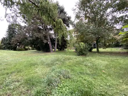 Schönes, großes Baugrundstück -  sehr gute, ruhige Lage im gewachsenen Wohngebiet von Bischofsheim 