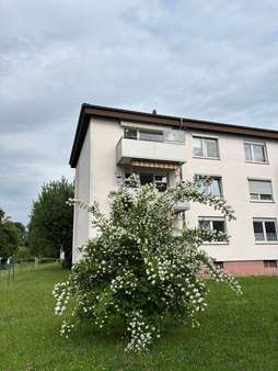 Rückansicht Balkone Rückansicht Balkone - Etagenwohnung in 63538 Großkrotzenburg mit 73m² kaufen