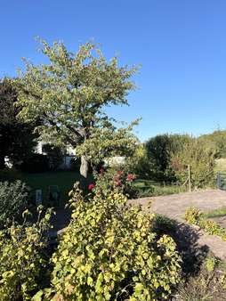 Garten Garten - Einfamilienhaus in 63128 Dietzenbach mit 140m² kaufen