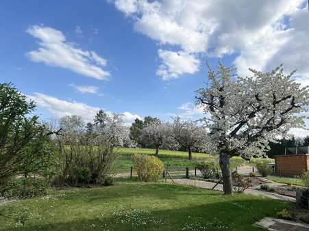 Garten Garten - Einfamilienhaus in 63128 Dietzenbach mit 140m² kaufen