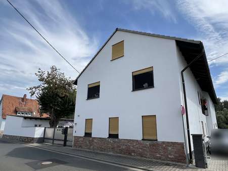 Strassenansicht - Mehrfamilienhaus in 67580 Hamm mit 350m² kaufen