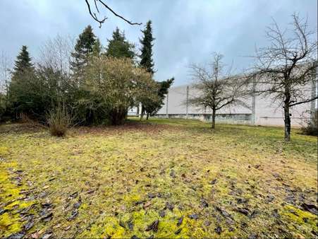 Ansicht Süd - Halle in 91186 Büchenbach mit 275m² kaufen