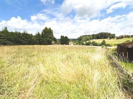 Grundstück in 79848 Bonndorf mit 1131m² kaufen