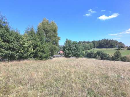 Grundstück in 79848 Bonndorf mit 1131m² kaufen