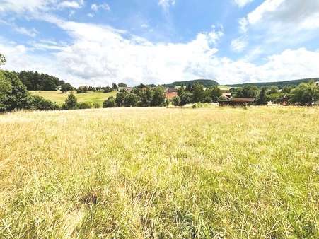 Grundstück in 79848 Bonndorf mit 1131m² kaufen