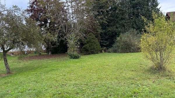 Ansicht Ansicht - Grundstück in 72175 Dornhan mit 1413m² kaufen