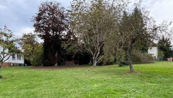 Ansicht Ansicht - Grundstück in 72175 Dornhan mit 1413m² kaufen