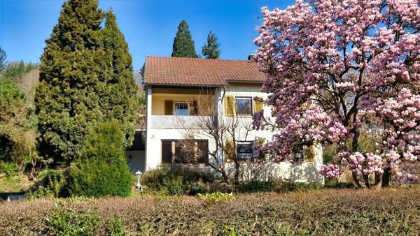 Ansicht - Einfamilienhaus in 78244 Gottmadingen mit 122m² kaufen