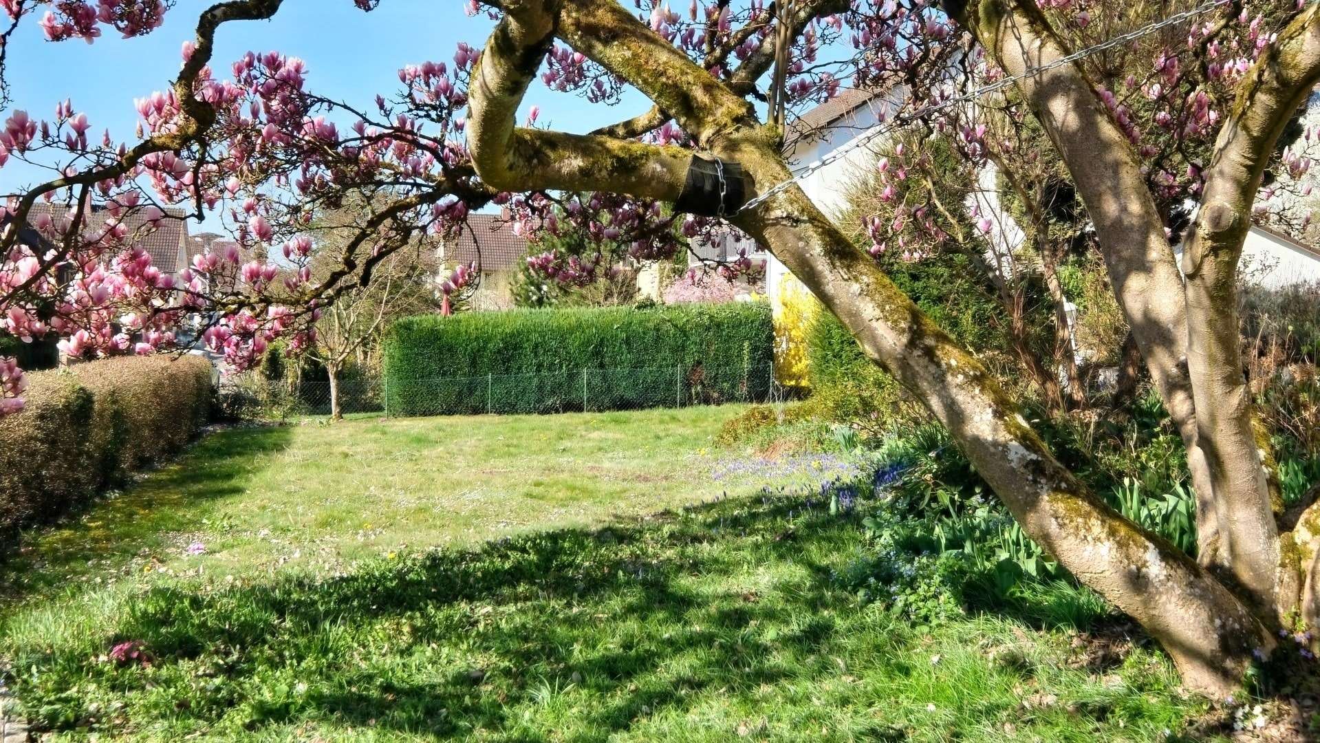 Garten - Einfamilienhaus in 78244 Gottmadingen mit 122m² kaufen
