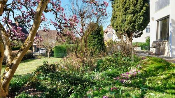 Garten - Einfamilienhaus in 78244 Gottmadingen mit 122m² kaufen