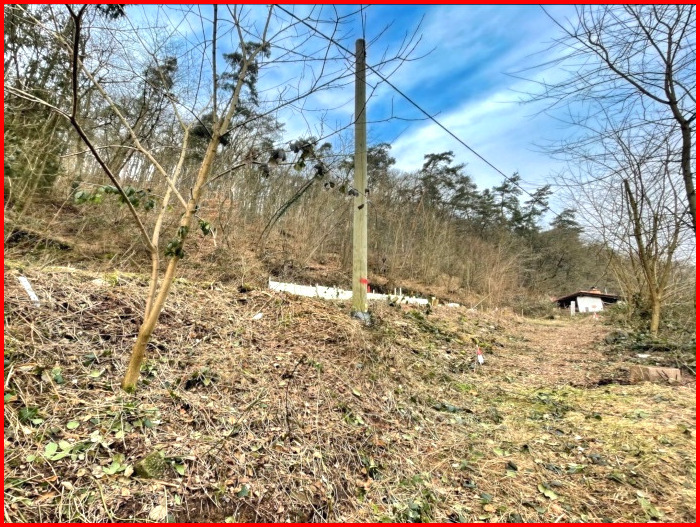 Baugrundstück mit Wald - Wohngrundstück in 67317 Altleiningen mit 0m² als Kapitalanlage kaufen