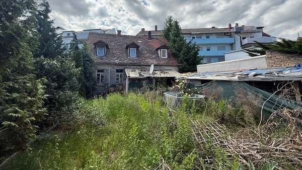 Garten Garten - Mehrfamilienhaus in 67227 Frankenthal mit 74m² kaufen