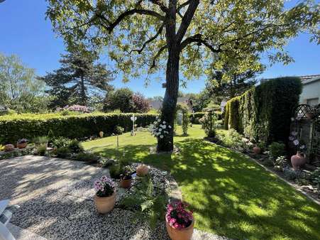 Terrasse und Garten - Zweifamilienhaus in 51519 Odenthal mit 170m² kaufen
