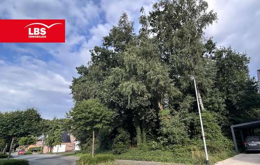 Grundstück in 48432 Rheine mit 811m² kaufen