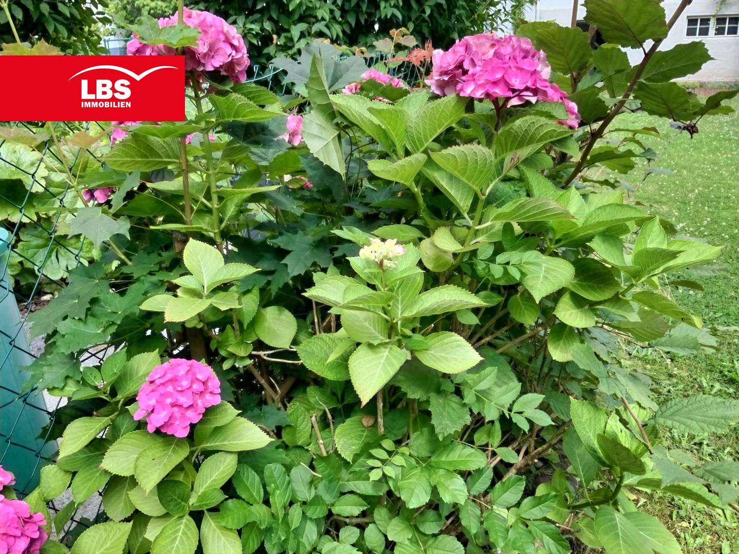 GARTEN GARTEN - Reihenmittelhaus in 42283 Wuppertal mit 111m² kaufen