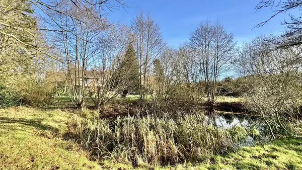 Großes Anwesen im Außenbereich