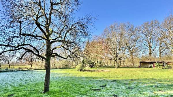 Garten Garten - Haus in 48607 Ochtrup mit 260m² kaufen
