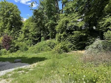 alter Baumbestand - Grundstück in 32760 Detmold mit 891m² kaufen