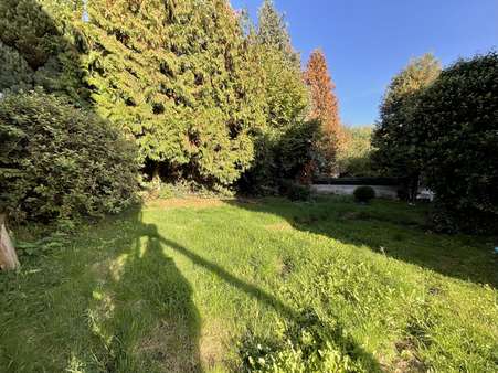 Gartenfläche - Mehrfamilienhaus in 32805 Horn-Bad Meinberg mit 393m² kaufen