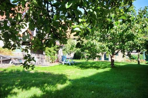Garten mit verschiedenen Obstbäumen - Stadthaus in 32791 Lage mit 154m² günstig kaufen