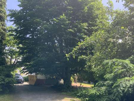Gartenansicht - Einfamilienhaus in 59557 Lippstadt mit 161m² als Kapitalanlage kaufen