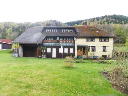 Hausansicht 3 - Zweifamilienhaus in 79674 Todtnau mit 449m² kaufen