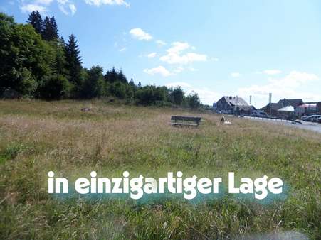 Impressionen vom Grundstück - Grundstück in 79868 Feldberg mit 3870m² kaufen