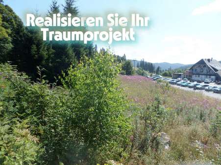 Impressionen vom Grundstück - Grundstück in 79868 Feldberg mit 3870m² kaufen