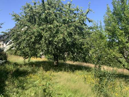 Großer Garten Großer Garten - Einfamilienhaus in 59872 Meschede mit 100m² kaufen