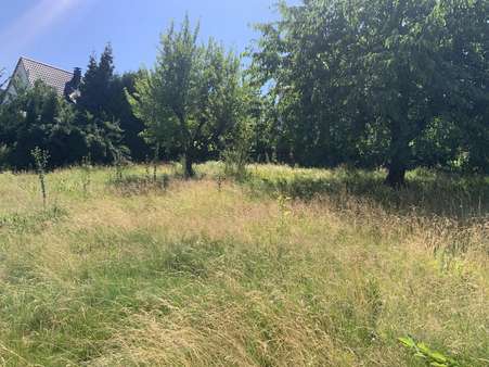 Zweiter Bauplatz Zweiter Bauplatz - Einfamilienhaus in 59872 Meschede mit 100m² kaufen