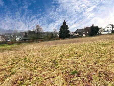 Ansicht - Grundstück in 59823 Arnsberg mit 1264m² kaufen