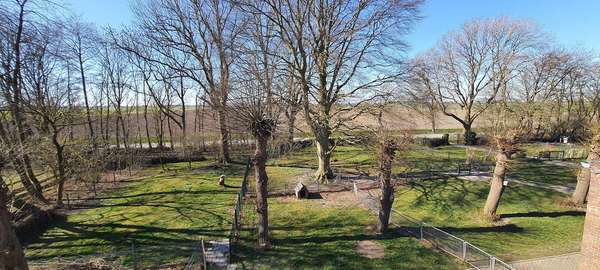 Blick zum Deich - Landhaus in 26831 Bunde mit 222m² kaufen