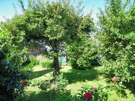 Garten - Einfamilienhaus in 38442 Wolfsburg mit 118m² kaufen