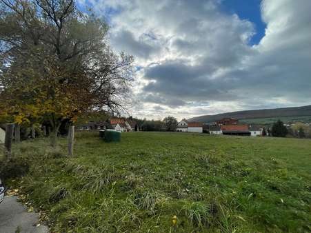 Blick 1 - Grundstück in 31084 Freden mit 5750m² kaufen