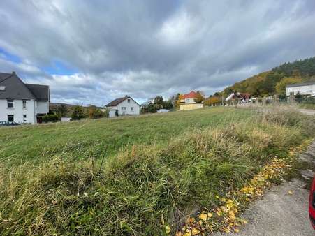 Blick 3 - Grundstück in 31084 Freden mit 5750m² kaufen