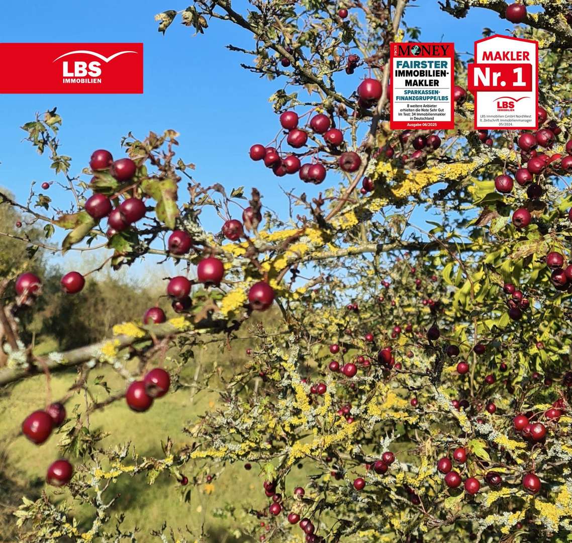 Herbstsonne Herbstsonne - Grundstück in 12623 Berlin mit 470m² kaufen