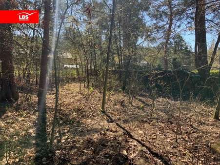 Grundstück in 12559 Berlin mit 700m² kaufen