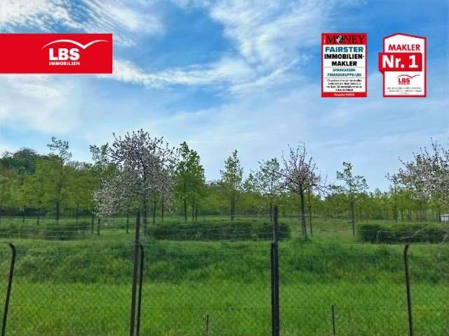Parkblick Parkblick - Grundstück in 12524 Berlin mit 870m² kaufen