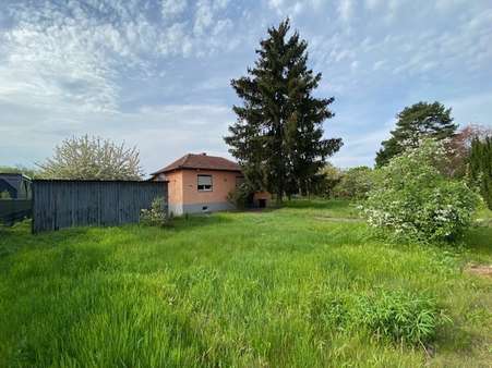 Sicht auf vorderes Grundstück Sicht auf vorderes Grundstück - Grundstück in 12524 Berlin mit 870m² kaufen