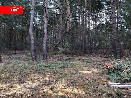 null - Grundstück in 12559 Berlin mit 450m² kaufen