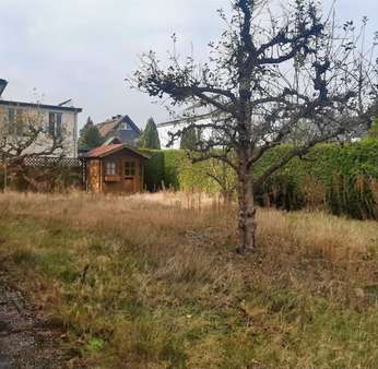 Blick in den Garten - Einfamilienhaus in 13507 Berlin mit 120m² kaufen