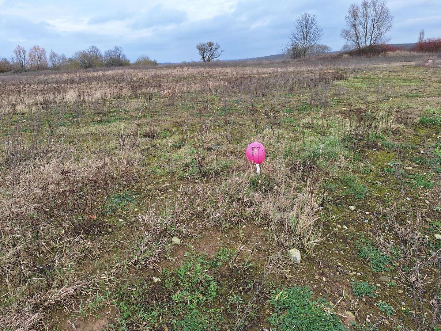 null - Grundstück in 23972 Groß Stieten mit 741m² kaufen