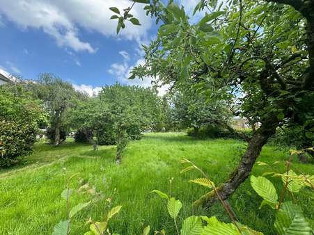 Außenansicht - Grundstück in 32257 Bünde mit 802m² kaufen